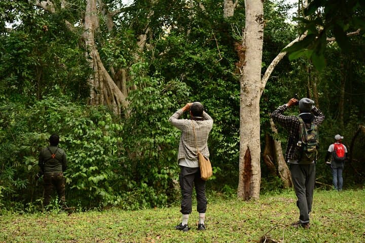 Birdwatching Coba from Tulum: Shared Eco‑Tour to See 360+ Species photo 3
