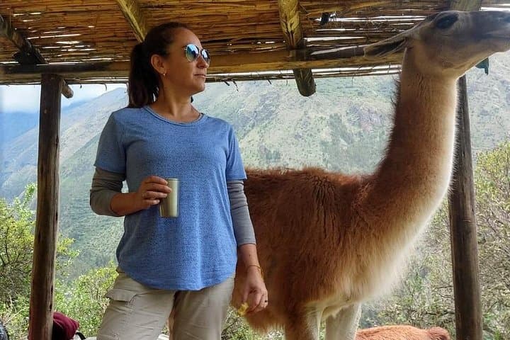 Family Llama Trek in the Sacred Valley — Half-Day Cultural Walk with Llama Pack Project photo 4