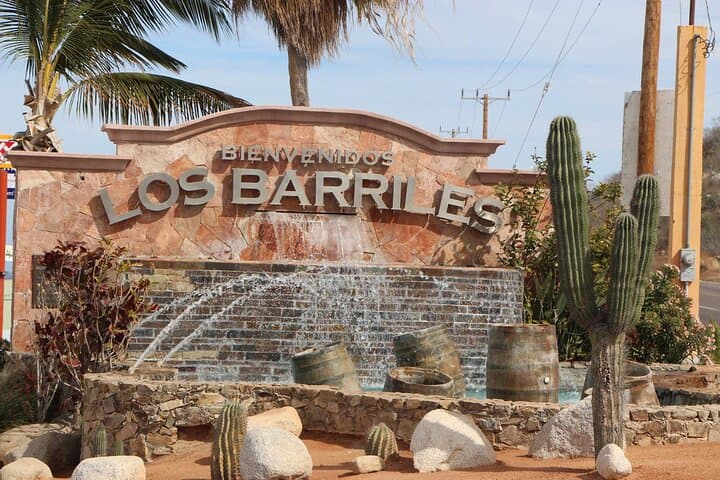 La Paz Day Tour from Cabo: Scenic Drive, Malecón & Todos Santos Stop photo 6