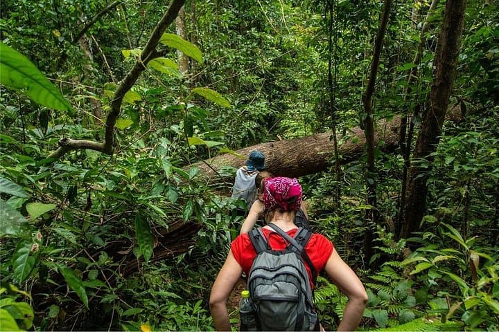 Khao Yai Bat Caves & Night Safari: 3-Day Waterfalls, Wildlife & Cave Spectacle photo 1