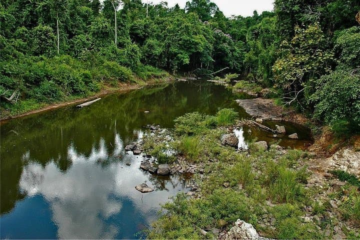 Khao Yai Bat Caves & Night Safari: 3-Day Waterfalls, Wildlife & Cave Spectacle photo 4
