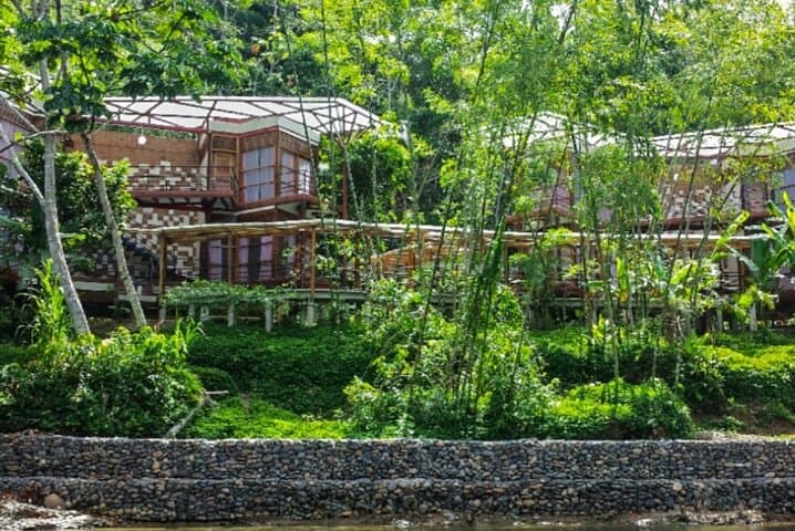 Amazon Eco-Lodge Explore: Itamandi Arajuno River Multi-Day Jungle Retreat