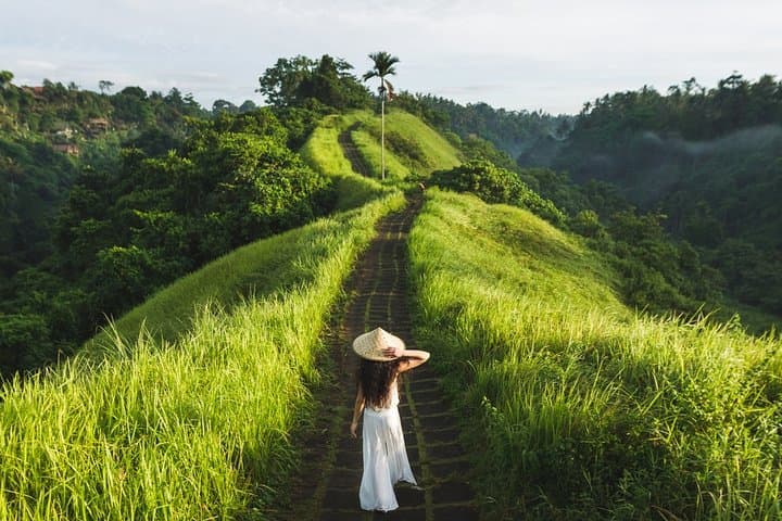 Design Your Own Bali Tour — Private Customized Day Trips from Ubud or South Bali photo 2