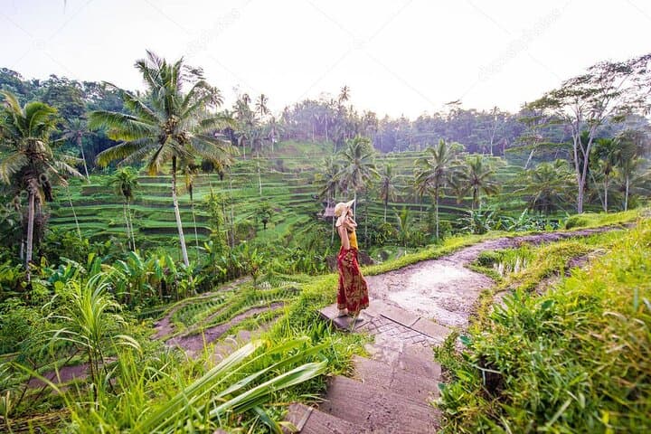 Full-Day Ubud & Kintamani Highlights: Tegalalang, Monkey Forest and Mount Batur Lunch photo 2
