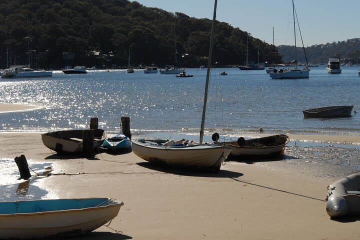 Explore Sydney's Northern Beaches: Beaches, Bushland & Wildlife Day Tour
