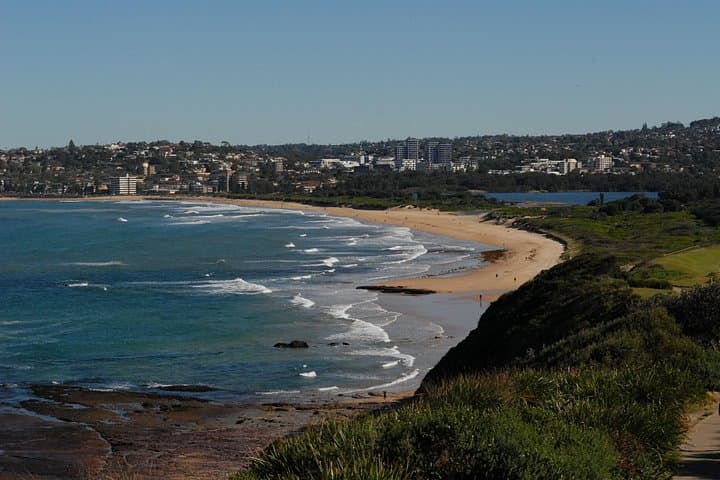 Explore Sydney's Northern Beaches: Beaches, Bushland & Wildlife Day Tour photo 4