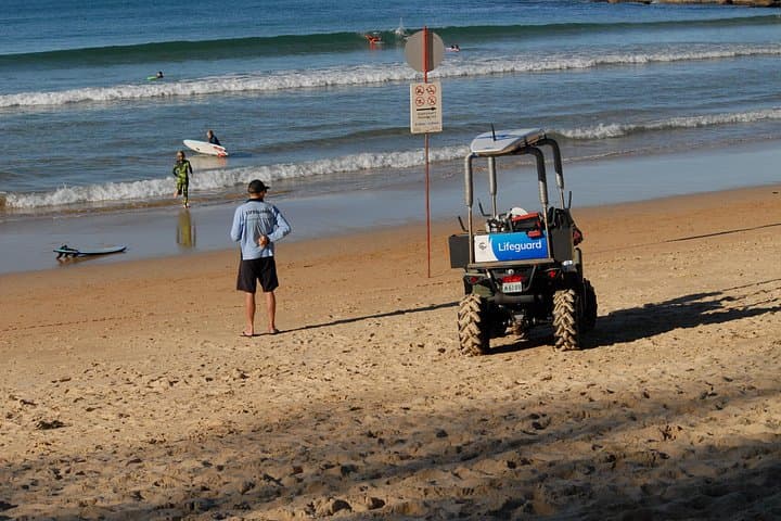 Explore Sydney's Northern Beaches: Beaches, Bushland & Wildlife Day Tour photo 5