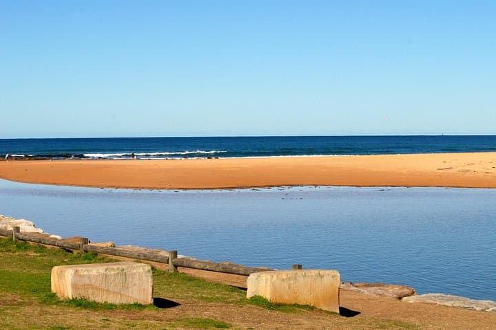 Explore Sydney's Northern Beaches: Beaches, Bushland & Wildlife Day Tour photo 6