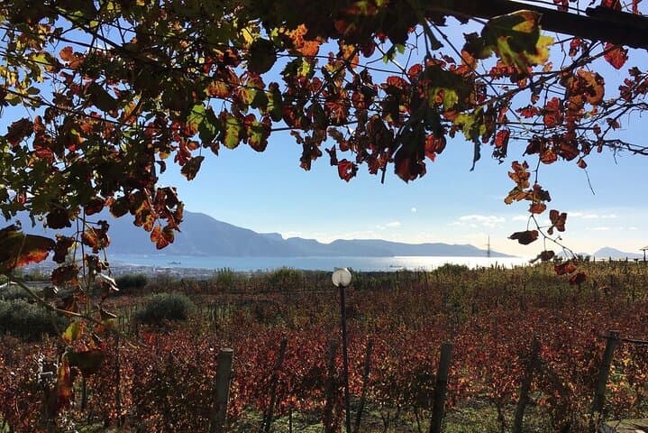 Pompeii Food and Wine Tour from Sorrento: Ruins, Vesuvius Views & Lacrima Christi Tasting