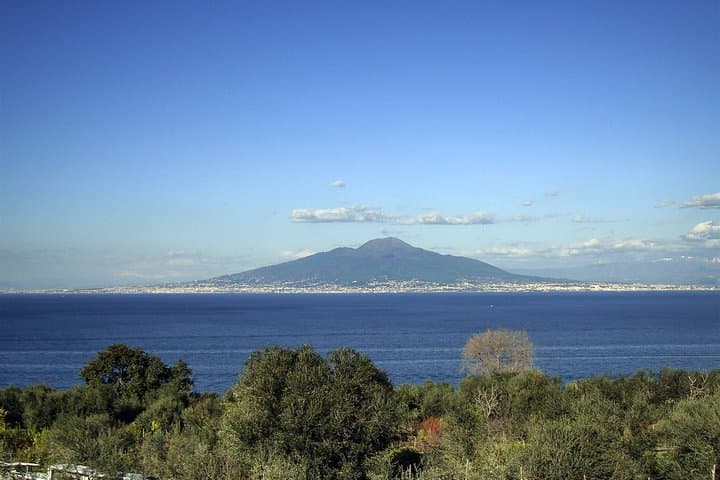 Pompeii Food and Wine Tour from Sorrento: Ruins, Vesuvius Views & Lacrima Christi Tasting photo 3