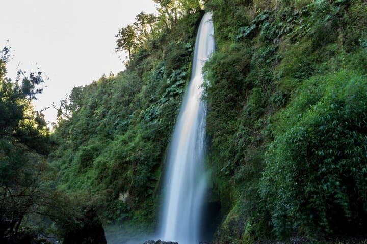 Chaiguen Park & Aucar Island: Full-Day Coastal Nature Adventure in Chiloé
