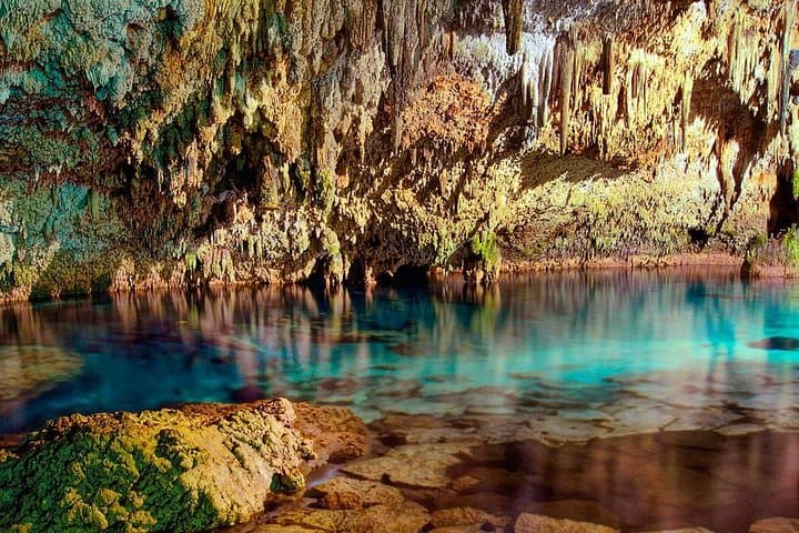 Yalku Lagoon & Cenote Swim: Snorkel Akumal's Marine Garden with Guide photo 4