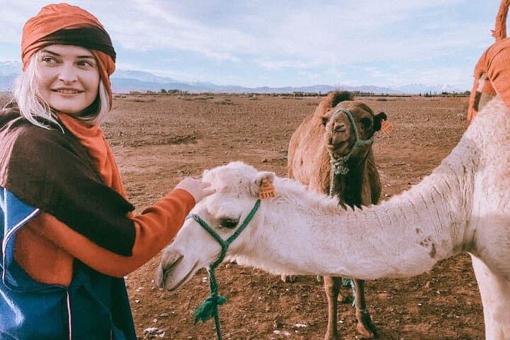 Day Trip to Morocco’s Atlas Mountains and Three Valleys from Marrakech photo 3