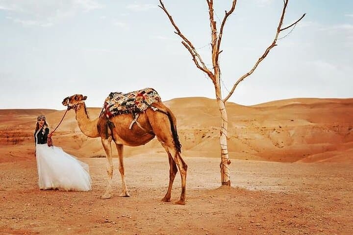 Agafay Desert Sunset Dinner & Fire Show — Evening Excursion from Marrakech