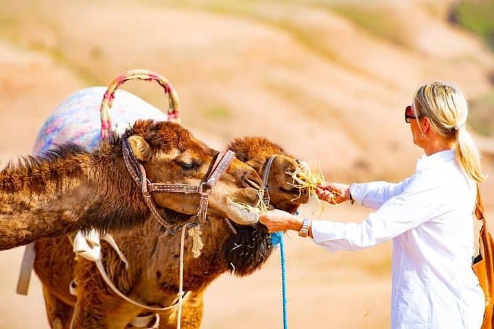 Private Day Trip from Marrakech to the Atlas Mountains, Agafay Desert & Berber Villages photo 2
