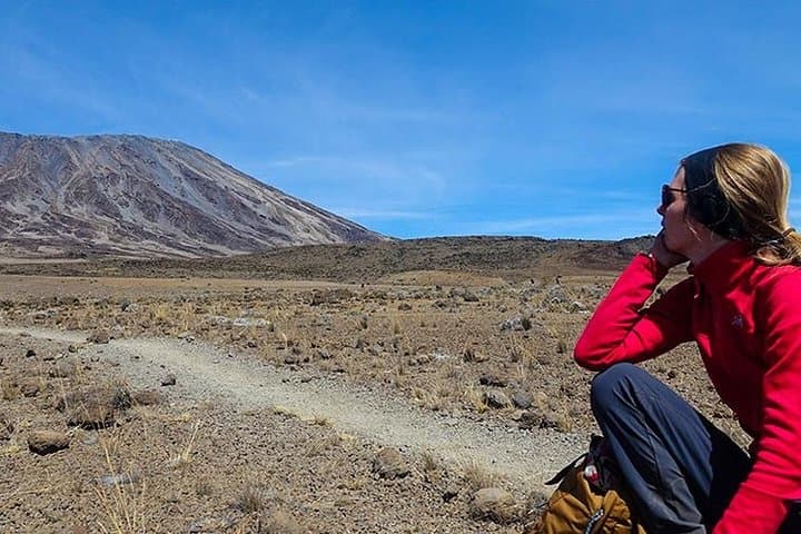 Mount Kilimanjaro Marangu Route: 8-Day Summit Guide to Uhuru Peak photo 4