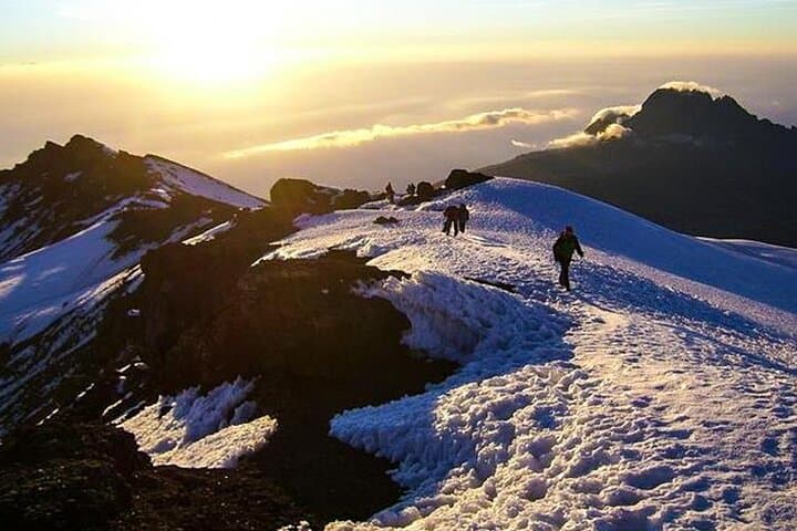 Mount Kilimanjaro Marangu Route: 8-Day Summit Guide to Uhuru Peak