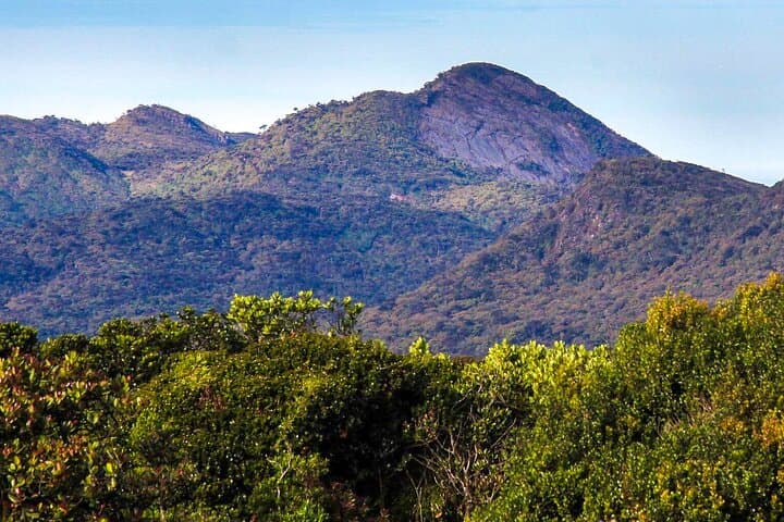 Hike Kirigalpoththa via Horton Plains: Full-Day Trek to Sri Lanka's Second Peak photo 3