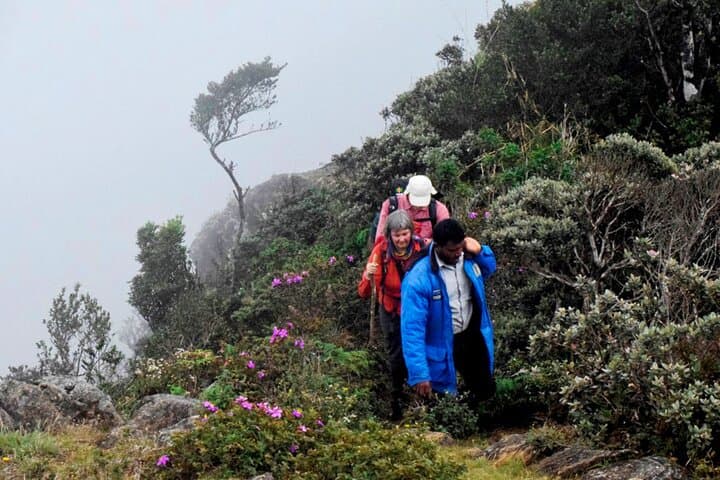 Hike Kirigalpoththa via Horton Plains: Full-Day Trek to Sri Lanka's Second Peak photo 4