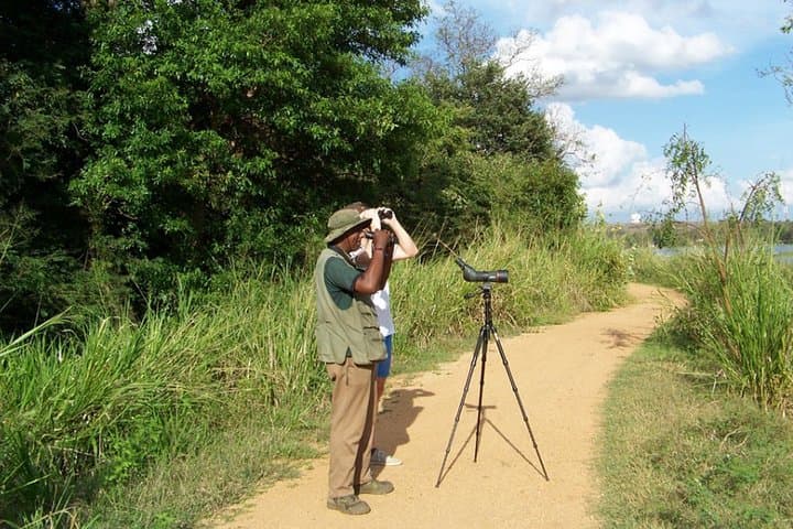 Climb Sigiriya Rock: Ancient Fortress, Village Life & Habarana Birdwatching photo 2