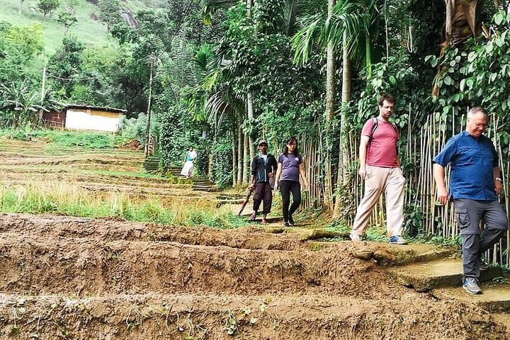 Kandy Village Walk: River Baths, Spice Gardens & Jungle Waterfall