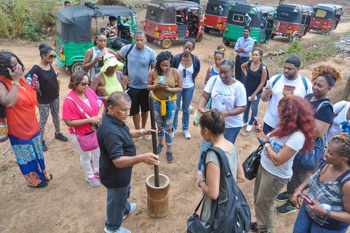 Climbing Sigiriya: Full-Day Rock Fortress, Village Culture & Birdwatching photo 4