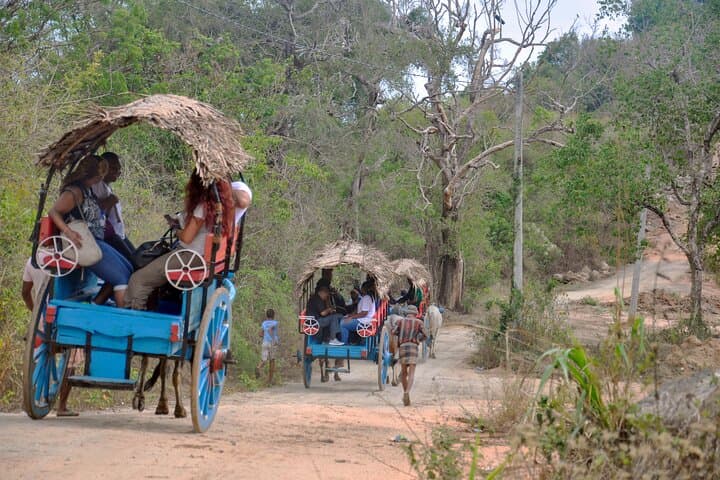 Climbing Sigiriya: Full-Day Rock Fortress, Village Culture & Birdwatching photo 5