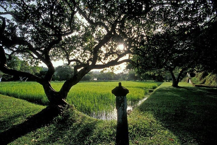 Kalutara Temple & Lunuganga Day Tour from Bentota: Geoffrey Bawa’s Garden and the Hollow Dagoba photo 3