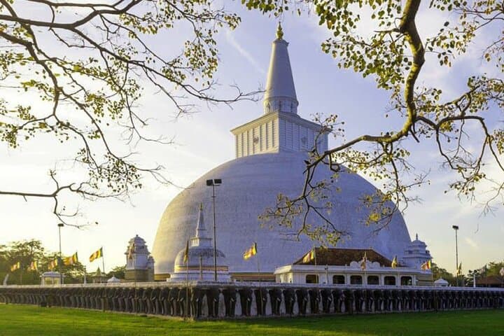 Anuradhapura Day Tour from Sigiriya: Explore Ancient Stupas & the Sacred Bo Tree photo 3