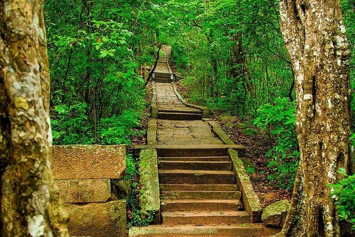 Ritigala, Kala Wewa & Namal Uyana Day Tour from Sigiriya — Ancient Reservoirs and Ironwood Forests photo 3