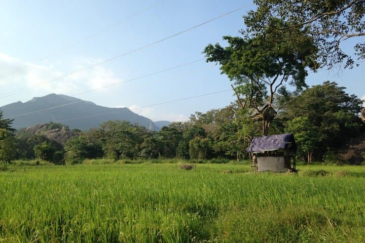 Sigiriya Sunrise Hike and Hiriwaduna Village Experience photo 6