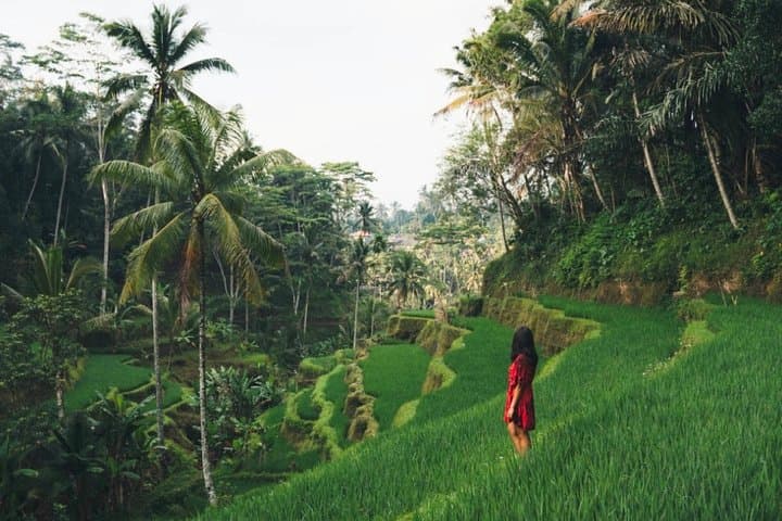 Bali Highlights: Waterfalls, Rice Terraces & Mount Batur Viewpoint