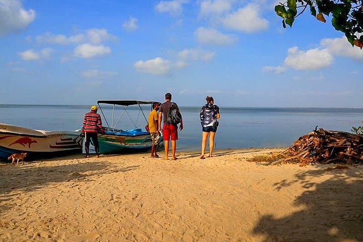 Kalpitiya Lagoon Boat Tour: Mangroves, Birdwatching & Sand Dunes photo 3