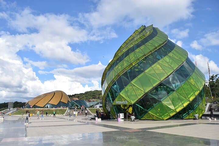 Full-Day Da Lat Countryside Tour: Elephant Waterfall, Flower Villages & Coffee photo 4