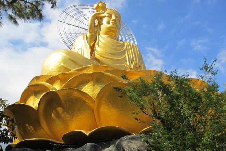 Full-Day Da Lat Countryside Tour: Elephant Waterfall, Flower Villages & Coffee