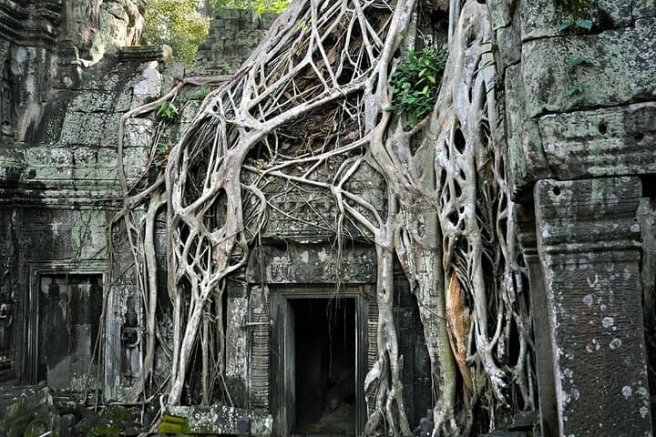 Private A/C Tour: Angkor Wat & Small Circuit with Hidden Jungle Temples