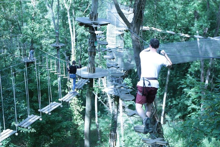 Rueil-Malmaison Tree Top Adventure: Zip Lines, Rope Bridges & High-Ropes Course