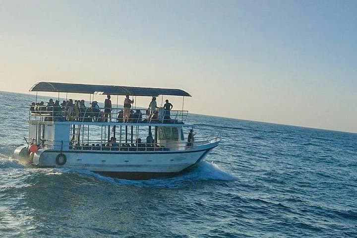Kalpitiya Whale Watching Private Boat — Blue, Bryde’s & Sperm Whales Close to Shore photo 4