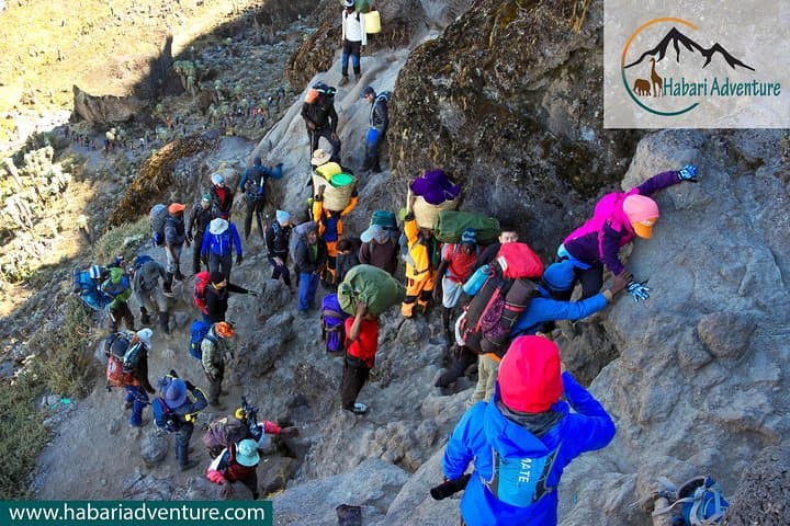 Kilimanjaro Umbwe Route: Steep, Remote 6-Day Summit to Uhuru Peak