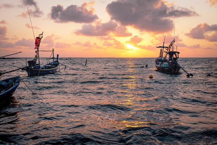 Sport Fishing from Negombo — Deep-Sea Angling off Sri Lanka’s West Coast photo 4