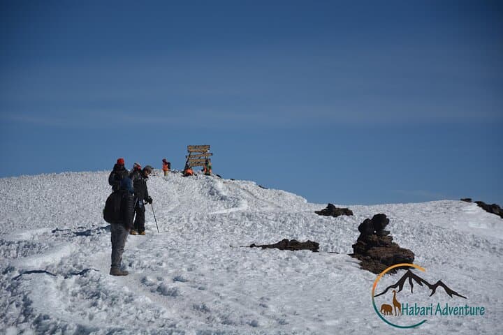 Kilimanjaro Umbwe Route: Steep, Remote 6-Day Summit to Uhuru Peak photo 4