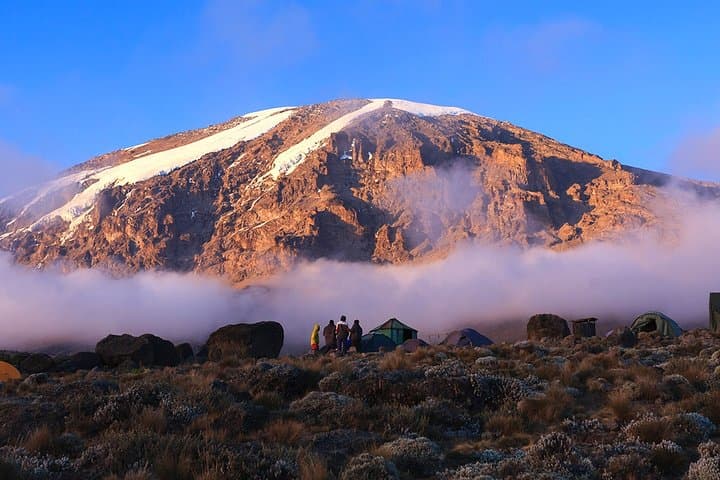 2-Day Mount Kilimanjaro Trek via Marangu Route — Mandara Hut Short Climb photo 2
