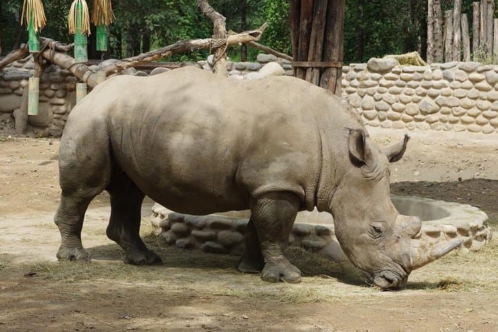 Private Self-Drive Safari at Beijing Wildlife Park — Day Trip from Beijing photo 2