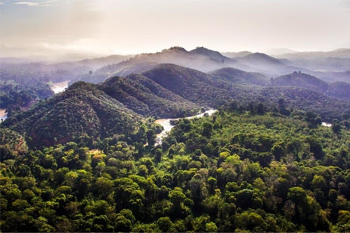 Nam Cat Tien 2-Day Jungle Adventure: Crocodile Swamp, Fairy Island & Night Wildlife photo 3