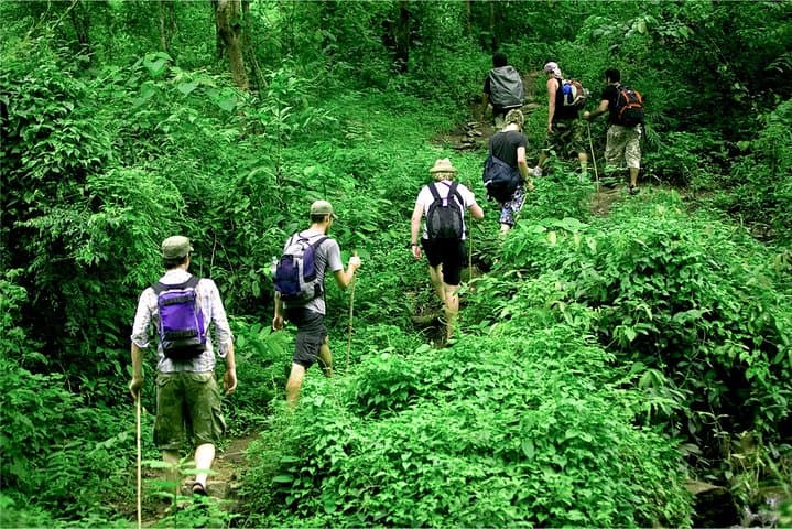 Nam Cat Tien 2-Day Jungle Adventure: Crocodile Swamp, Fairy Island & Night Wildlife