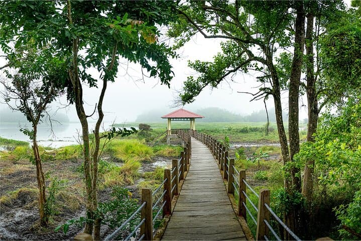 Nam Cat Tien 2-Day Jungle Adventure: Crocodile Swamp, Fairy Island & Night Wildlife photo 5