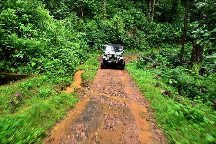 Nam Cat Tien 2-Day Jungle Adventure: Crocodile Swamp, Fairy Island & Night Wildlife photo 6