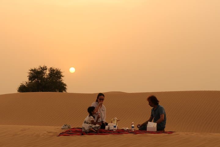 Sunset 4x4 Desert Drive & Wildlife Viewing at Al Qudra, Dubai photo 5