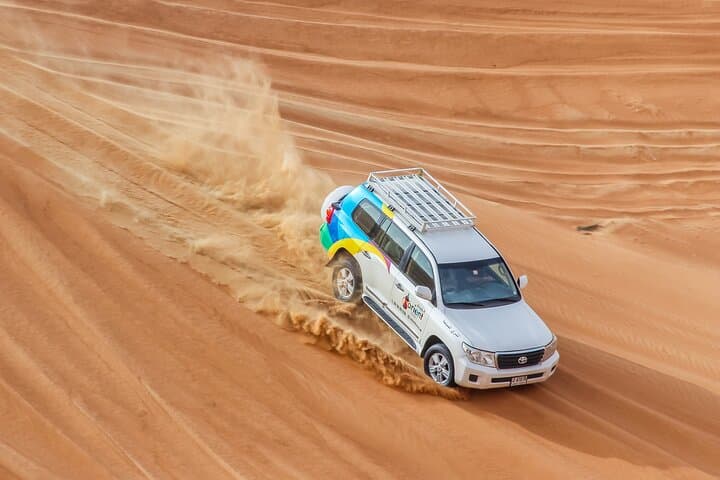 Sunset 4x4 Desert Drive & Wildlife Viewing at Al Qudra, Dubai photo 6
