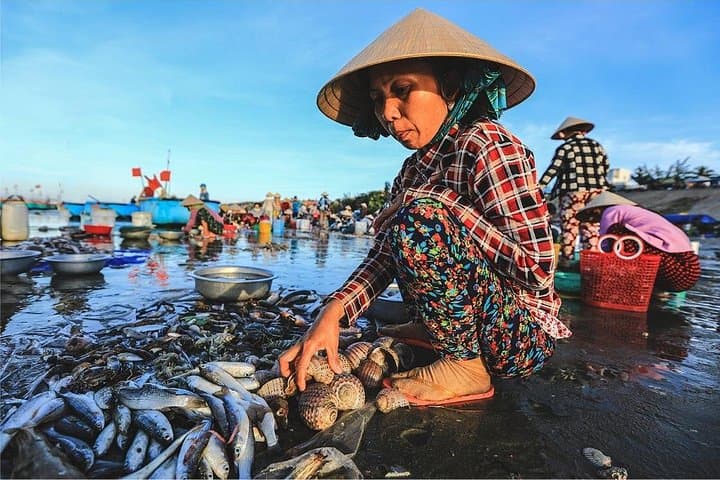 Mui Ne Red Sand Dunes & Cham Culture: 2-Day Coastal Adventure from Ho Chi Minh photo 1